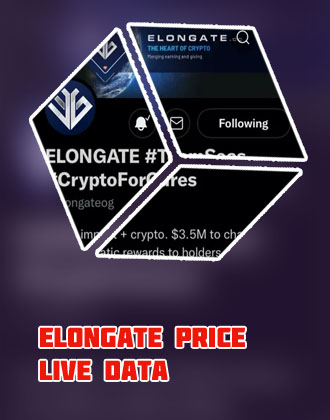 Elon gate crypto